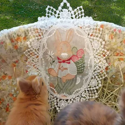Fensterbild Osterhase aus Plauener Spitze als Geschenkidee