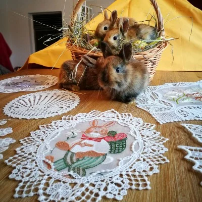Fensterbild Osterhase aus Plauener Spitze Beispielbild