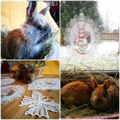 Fensterbild Osterhase aus Plauener Spitze Dekobeispiel