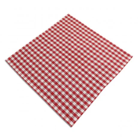 Eine quadratische, rot-weiß karierte Stoffserviette wird schräg auf eine weiße Fläche gelegt.