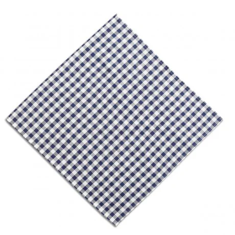 Eine blau-weiß karierte Serviette oder ein blau-weiß kariertes Tuch, flach und rautenförmig auf weißem Grund ausgelegt.