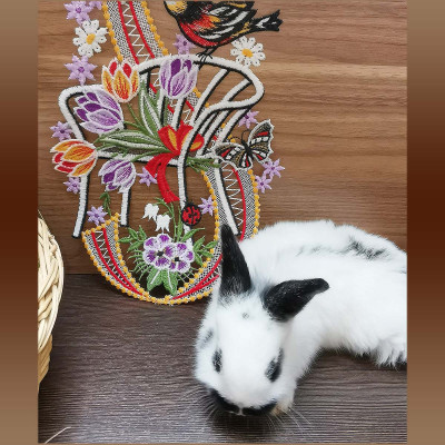 Spitzenbild Tulpenstrauß als Ostergeschenk mit Kaninchen