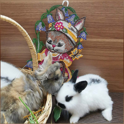 Spitzen-Fensterbild Hasenmädchen als hübsches Ostergeschenk